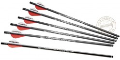 UX - Carbon arrows for AIR JAVELIN rifle - x6
