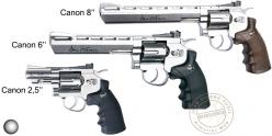 ASG Dan Wesson CO2 revolver...