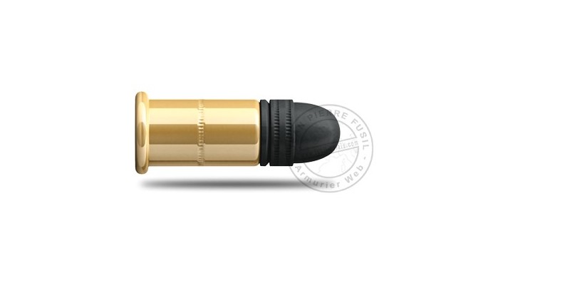 Munitions .22 Short - Sellier & Bellot - 2 x 50