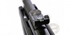 Carabine à plombs 4,5 mm GAMO Big Cat 1000-E IGT (19,9 joules)