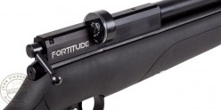 Pack carabine PCP CROSMAN Benjamin Fortitude Gen. 2 - 5,5 mm (19,9 joules)