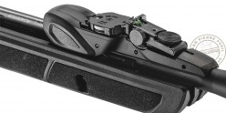 Carabine à plombs GAMO Roadster IGT 10X GEN2 4,5 mm (19,9 joules)