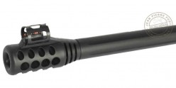 Carabine à plombs GAMO Black Bear + Lunette 4x32 (19,9 Joules)